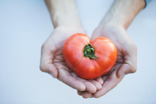 Hands holding heart-shaped tomato